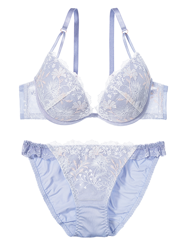 PJ_Days_Light_Snowy_Garden_Bra_a.png (365×488)